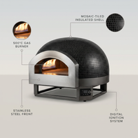 FerroDome Pro Artisan Pizza Oven — infographic